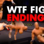 The 10 Most Ridiculous Ways MMA Fights Ended